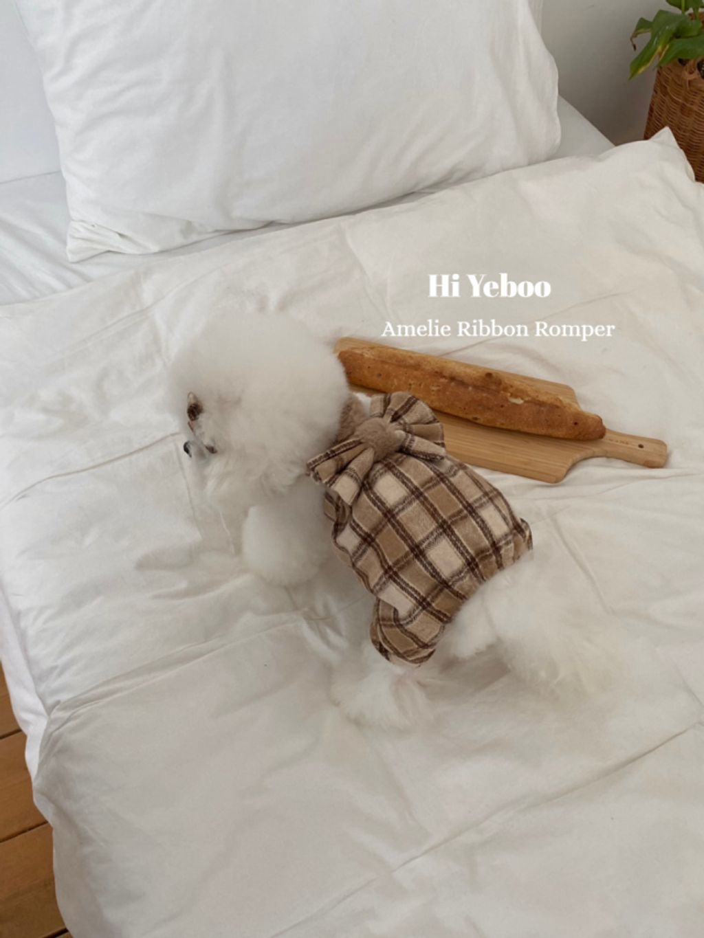 IMG_2052-1732163495946