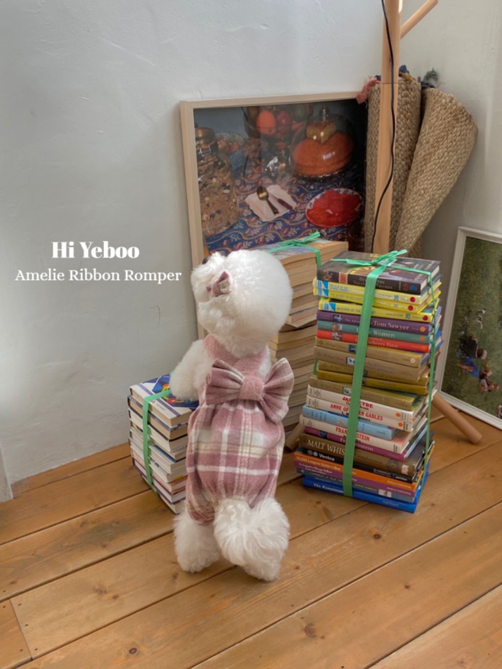 IMG_2053-1732163495953