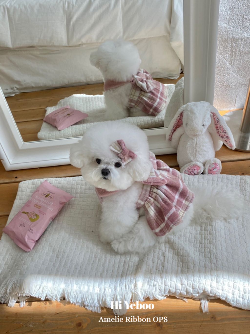 IMG_2054-1732163495961