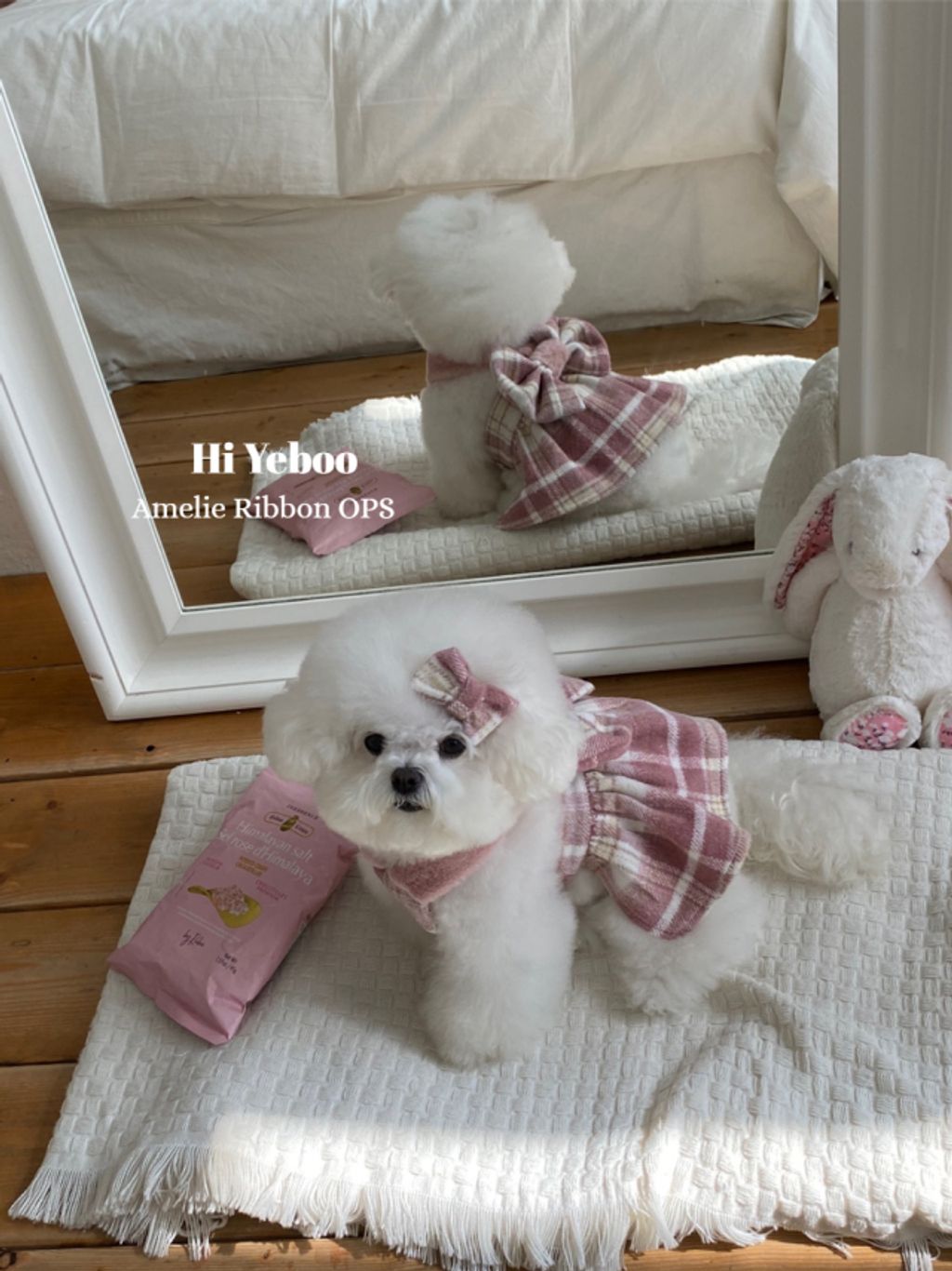 IMG_2057-1732163495968