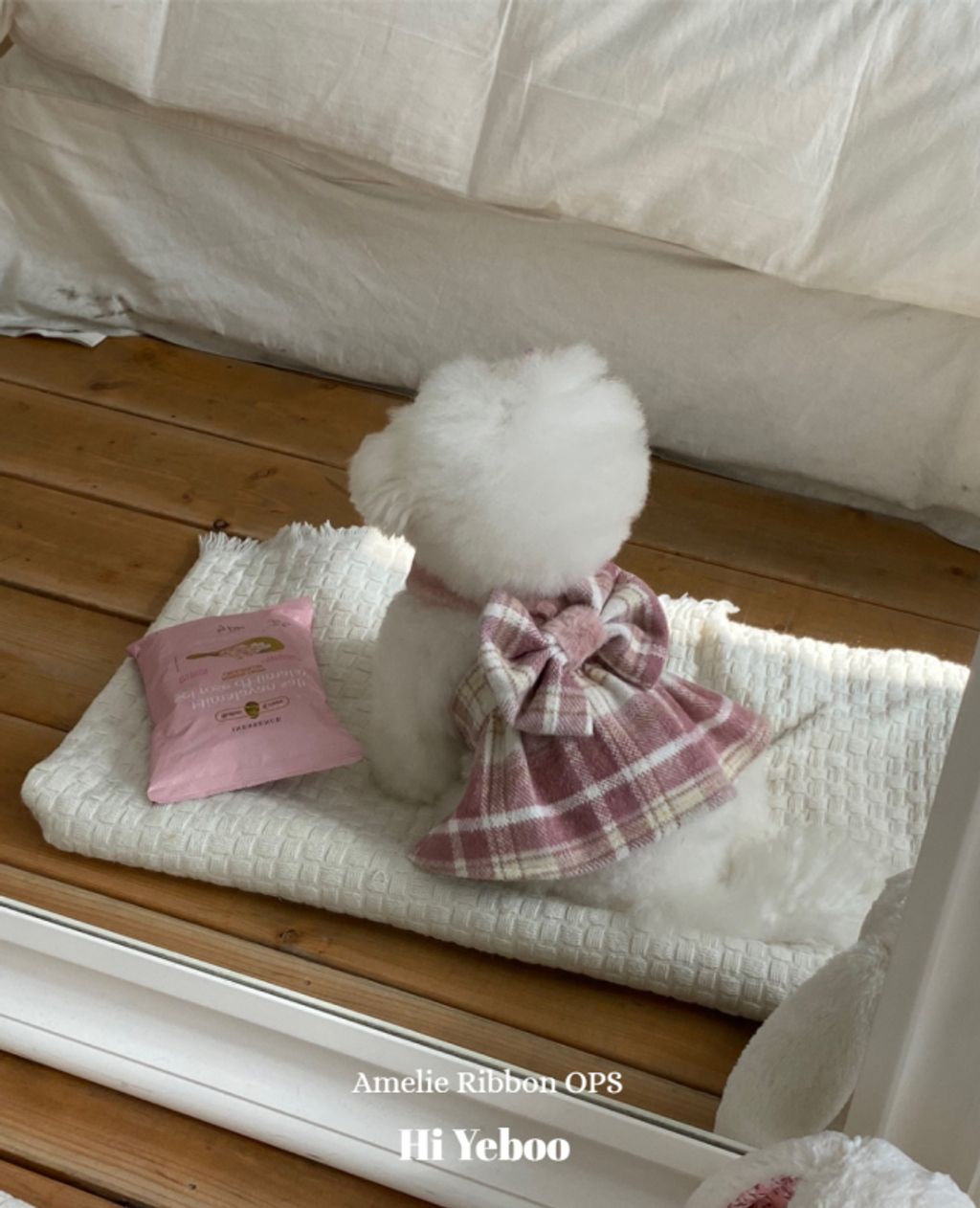 IMG_2056-1732163495977