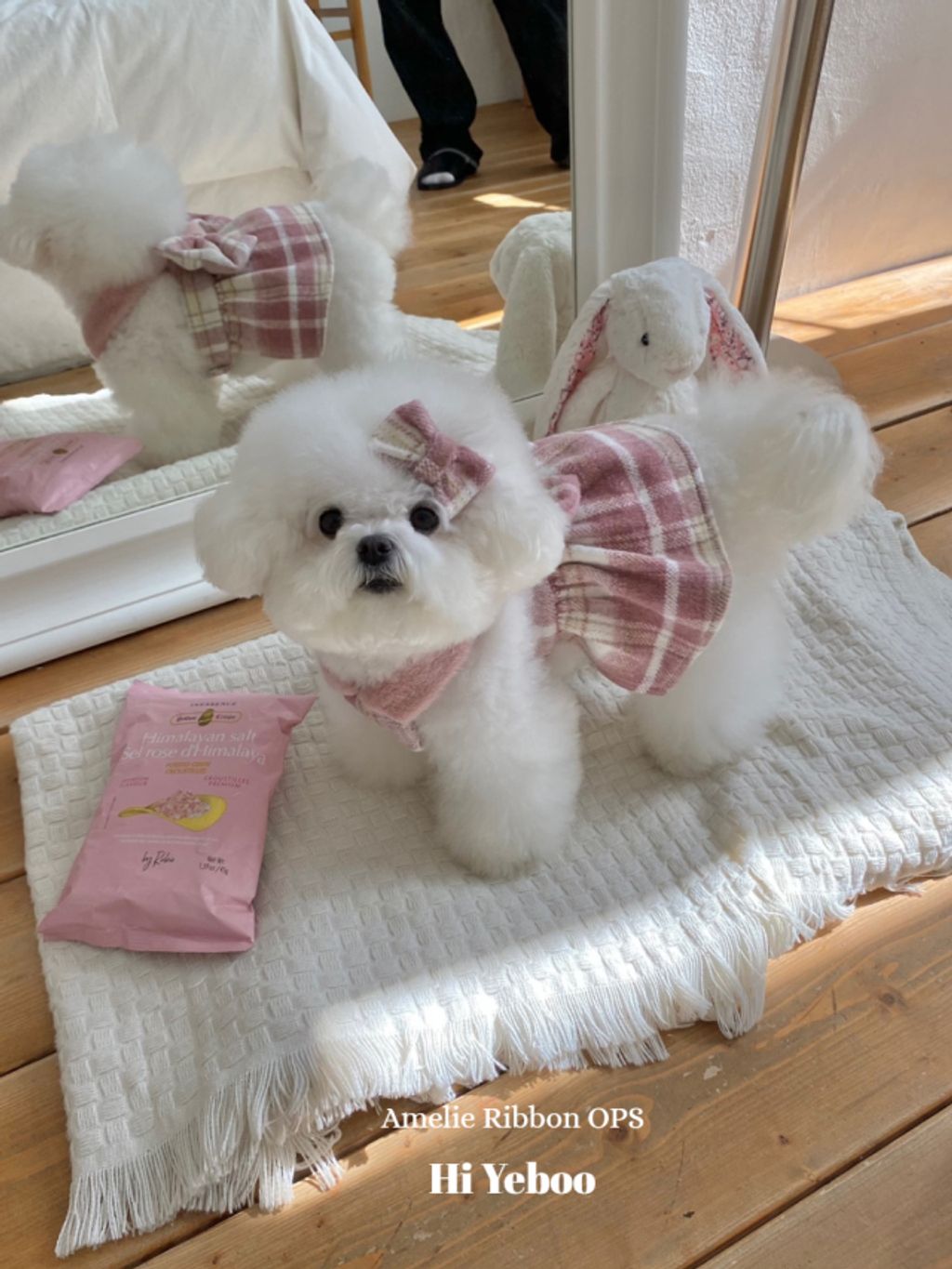 IMG_2055-1732163495983