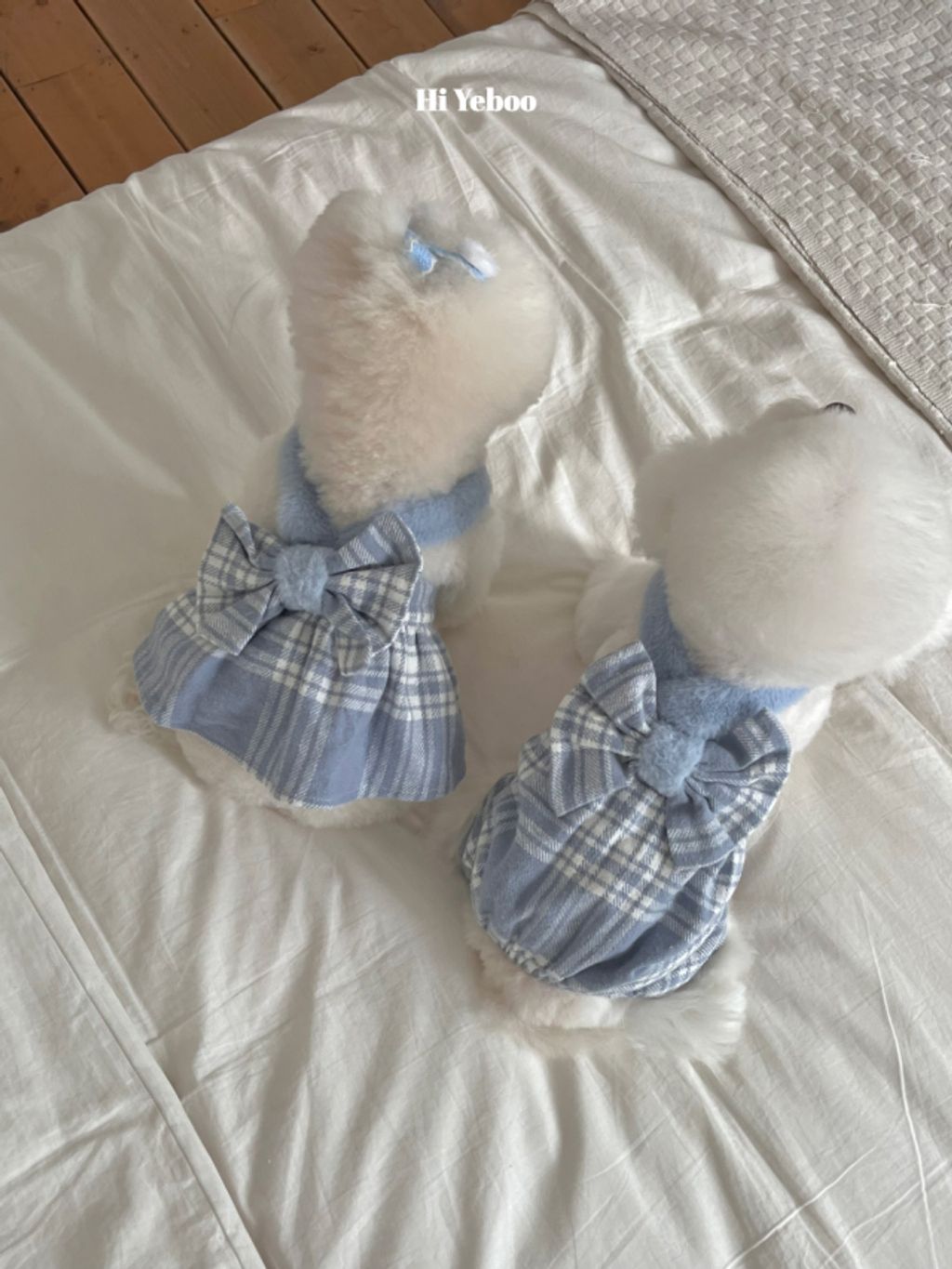 image_5875B927-9443-4147-ABB9-D37627AAEF52_1762097992