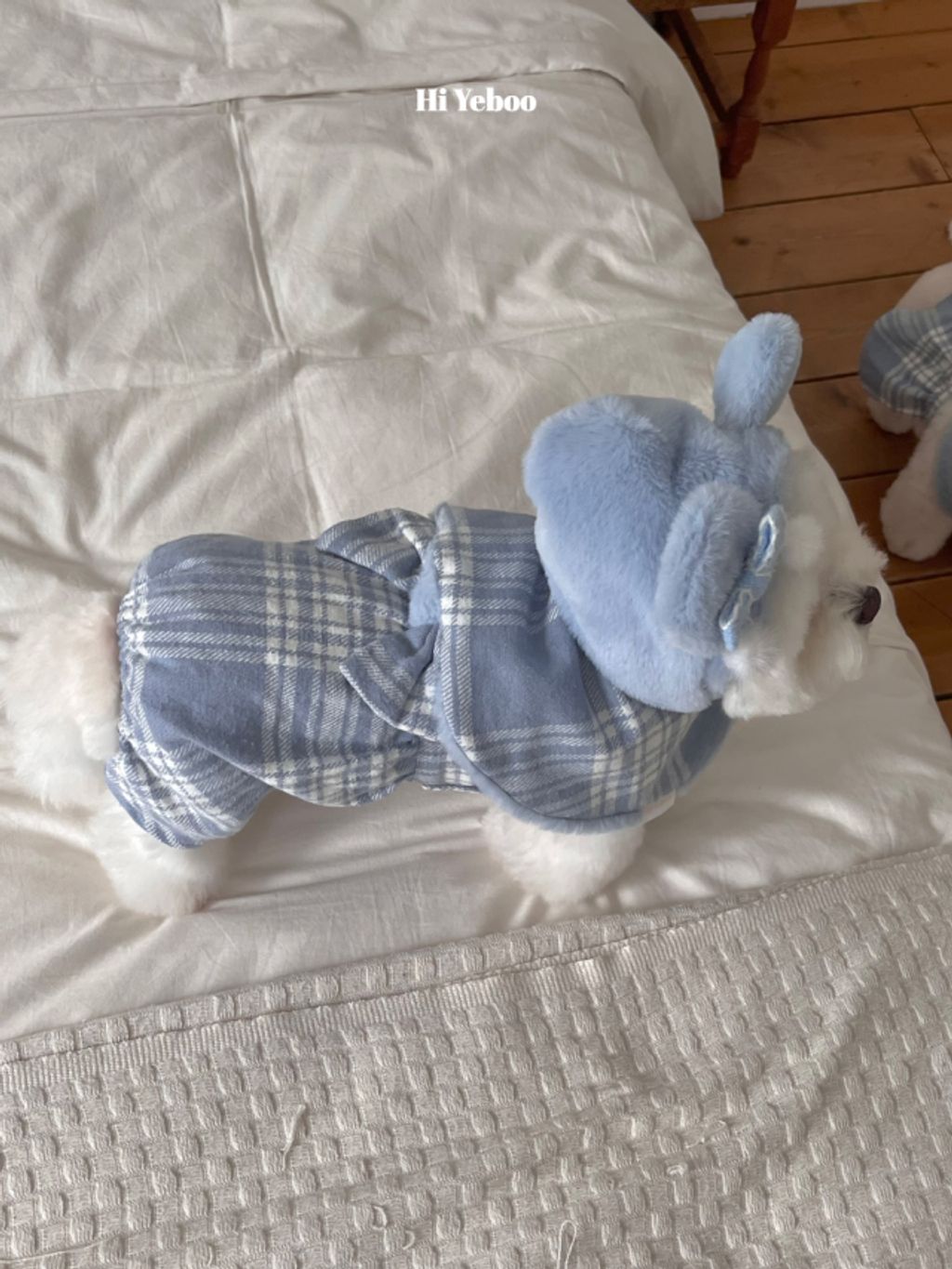 image_E4C10629-C770-4AFB-993E-CED9C9E4E85D_1762097992