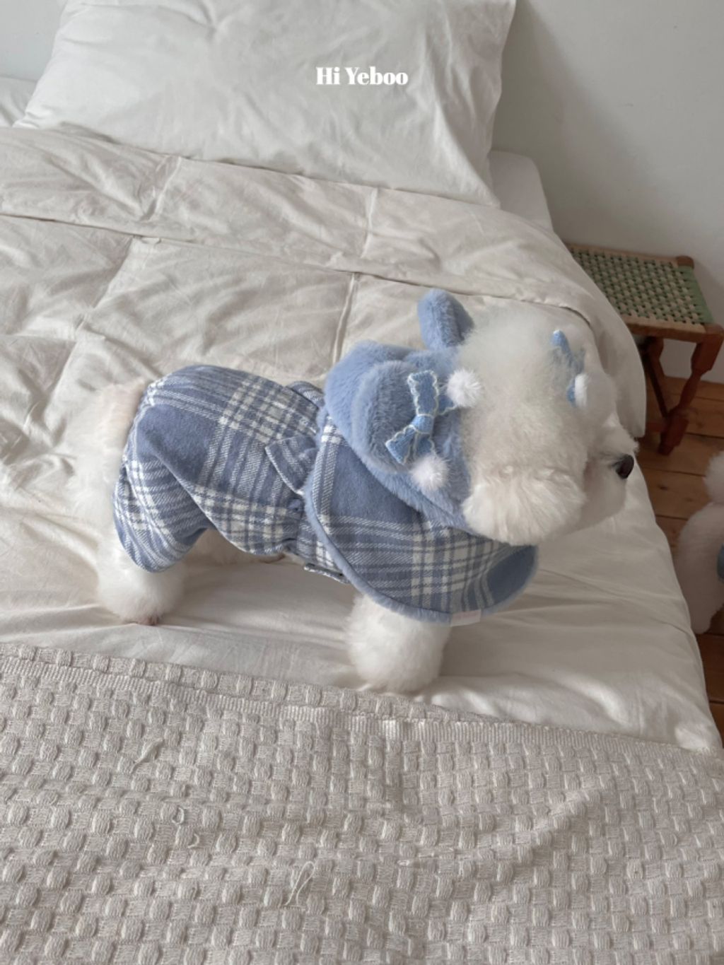 image_3D2B0B03-C8A1-49AA-B042-F1C793CCA245_1762097992