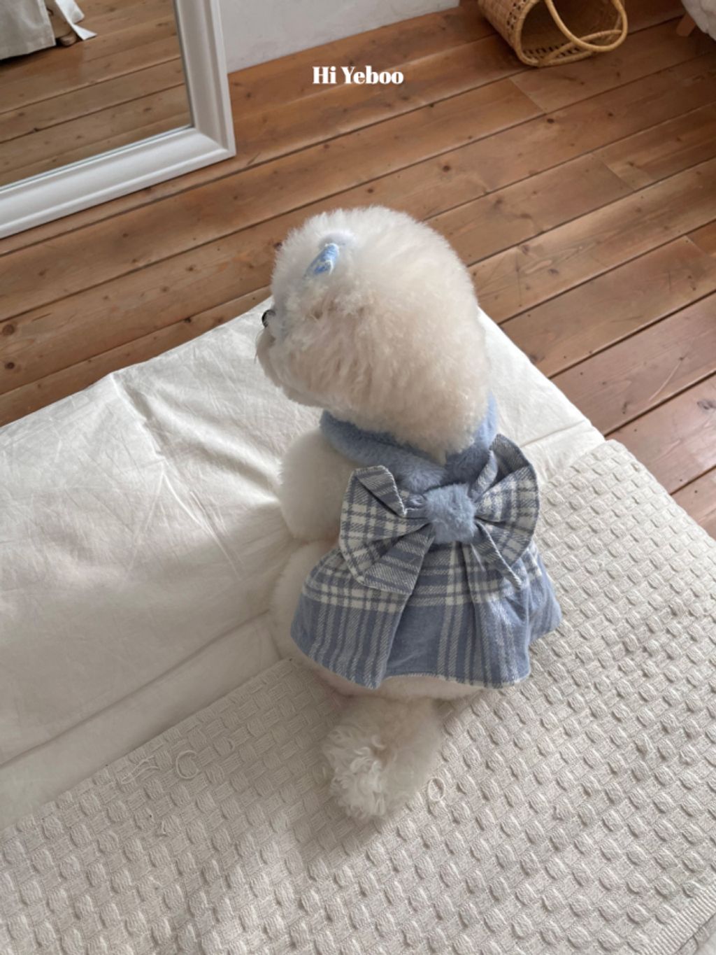 image_96DB34DA-53A1-46F3-83D1-AAA6495EA8A3_1762097992