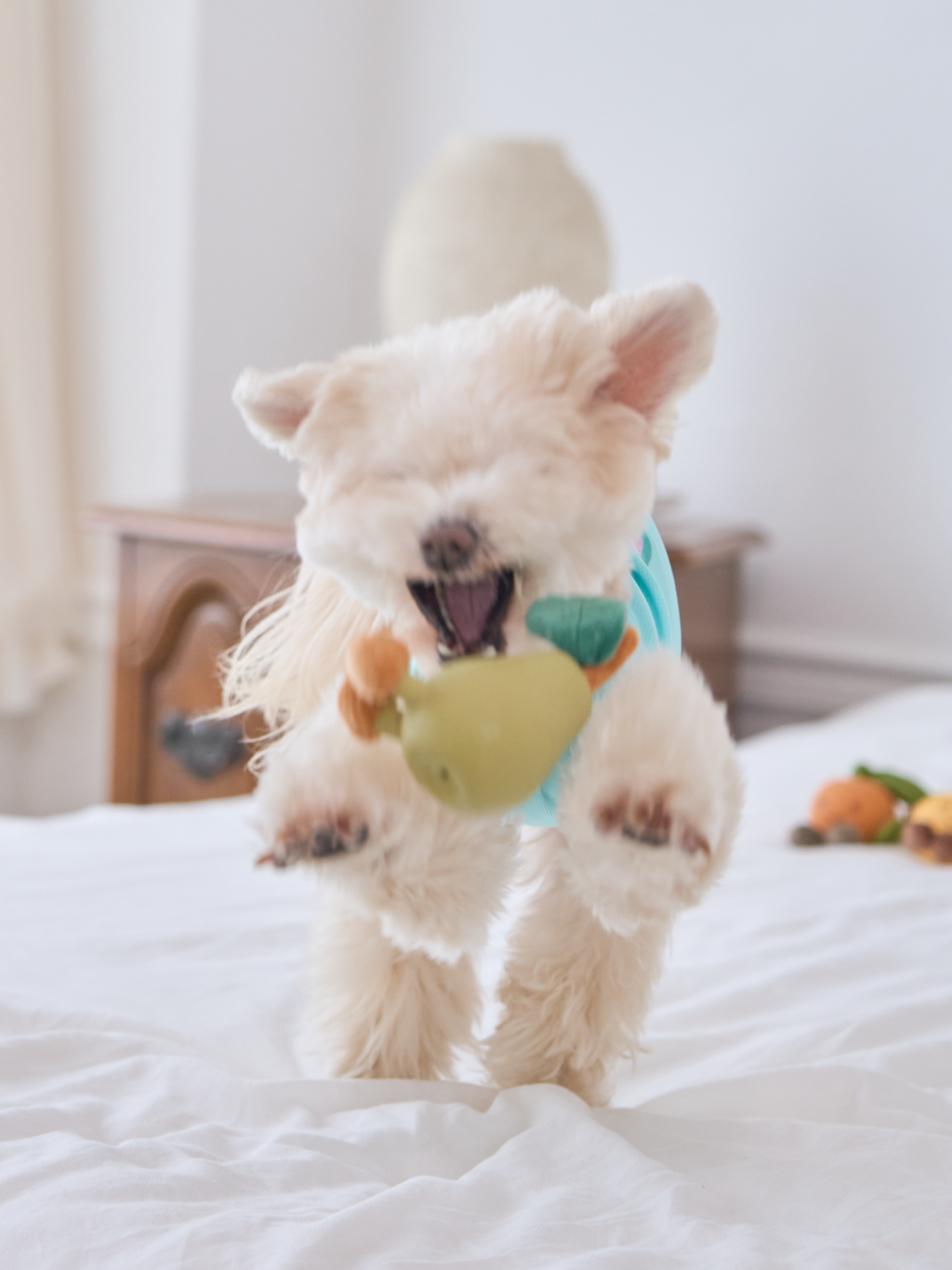 image_4358671D-40F8-4991-8F16-513E8C670712_1762159278