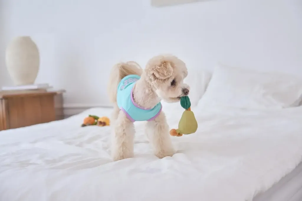 image_EEB74108-1001-4091-93EC-9A4D90DC7013_1762159278