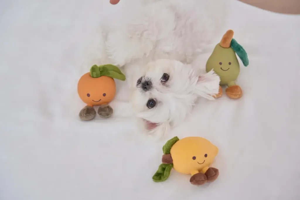 image_75C2EC73-AC78-4B0D-A065-80FC1284679F_1762159278