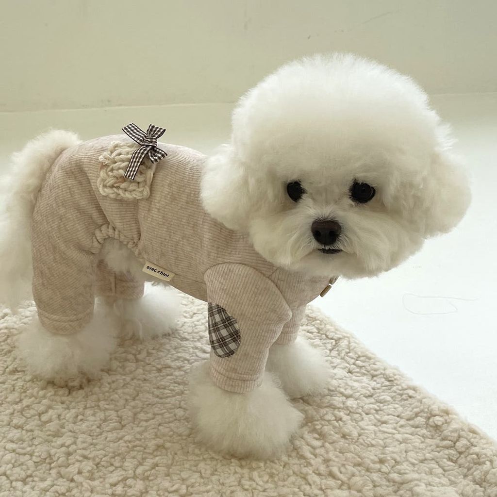 image_23807687-05CB-4C9B-82EE-814CC1ED9CB2_1762181324