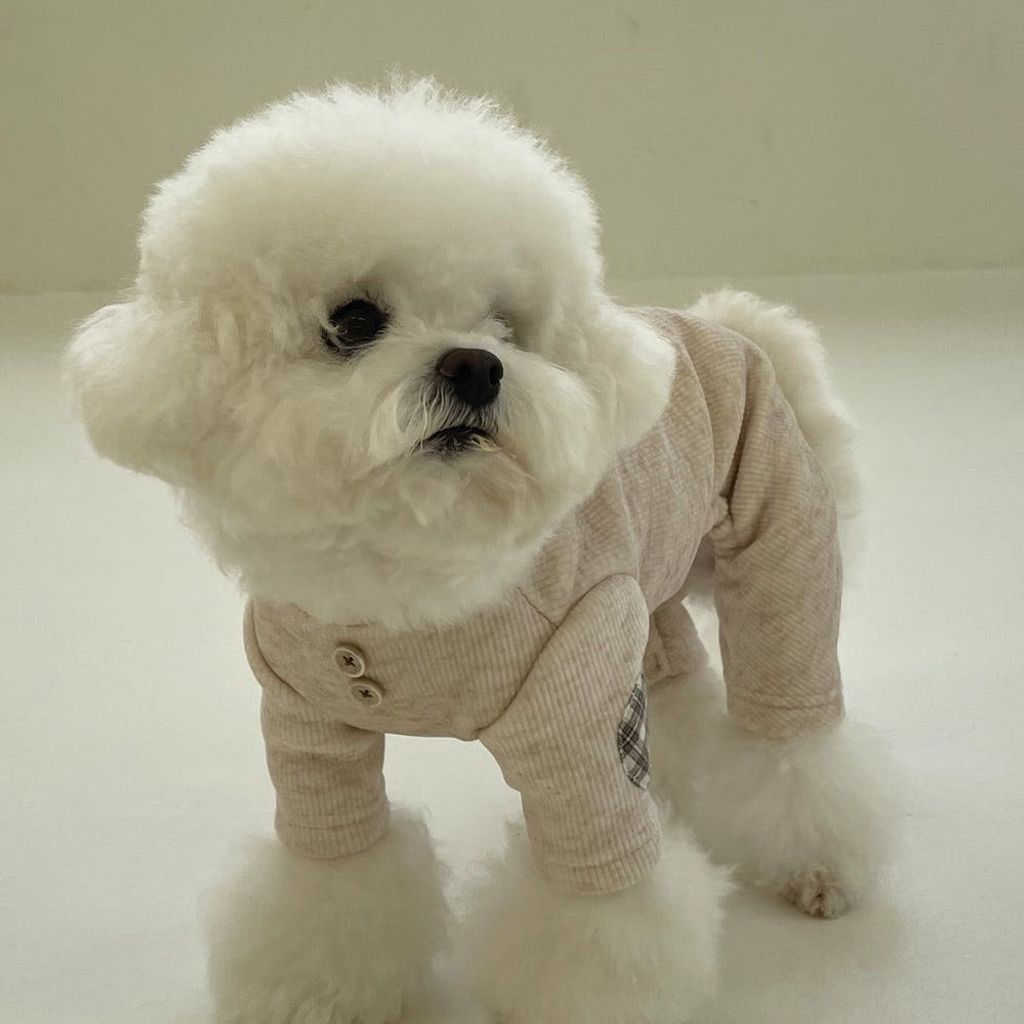 image_186A4E9C-F893-499A-A682-4CAEBB28A8F2_1762181324