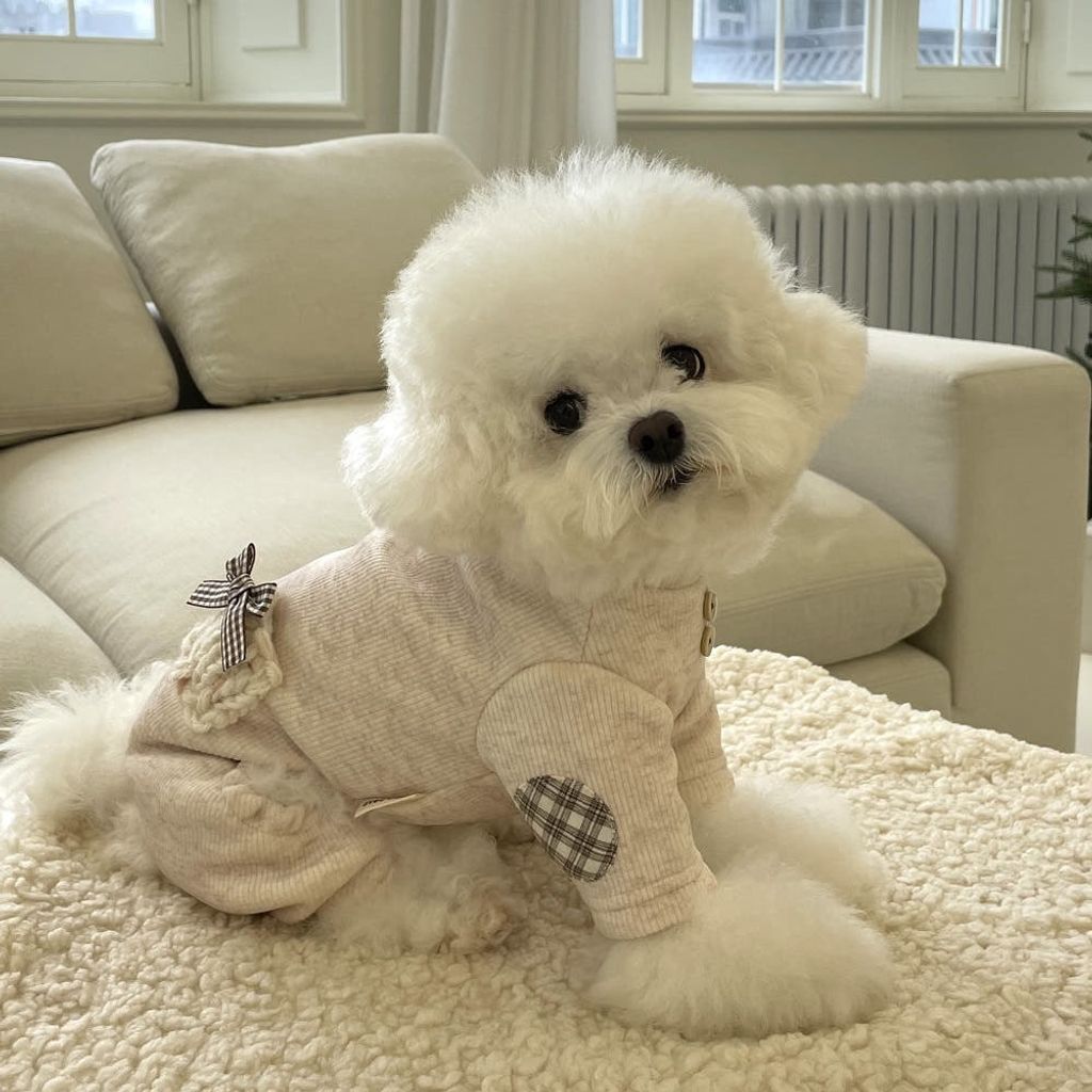 image_3508E16A-A84C-4D5A-8316-8752361F0967_1762181324