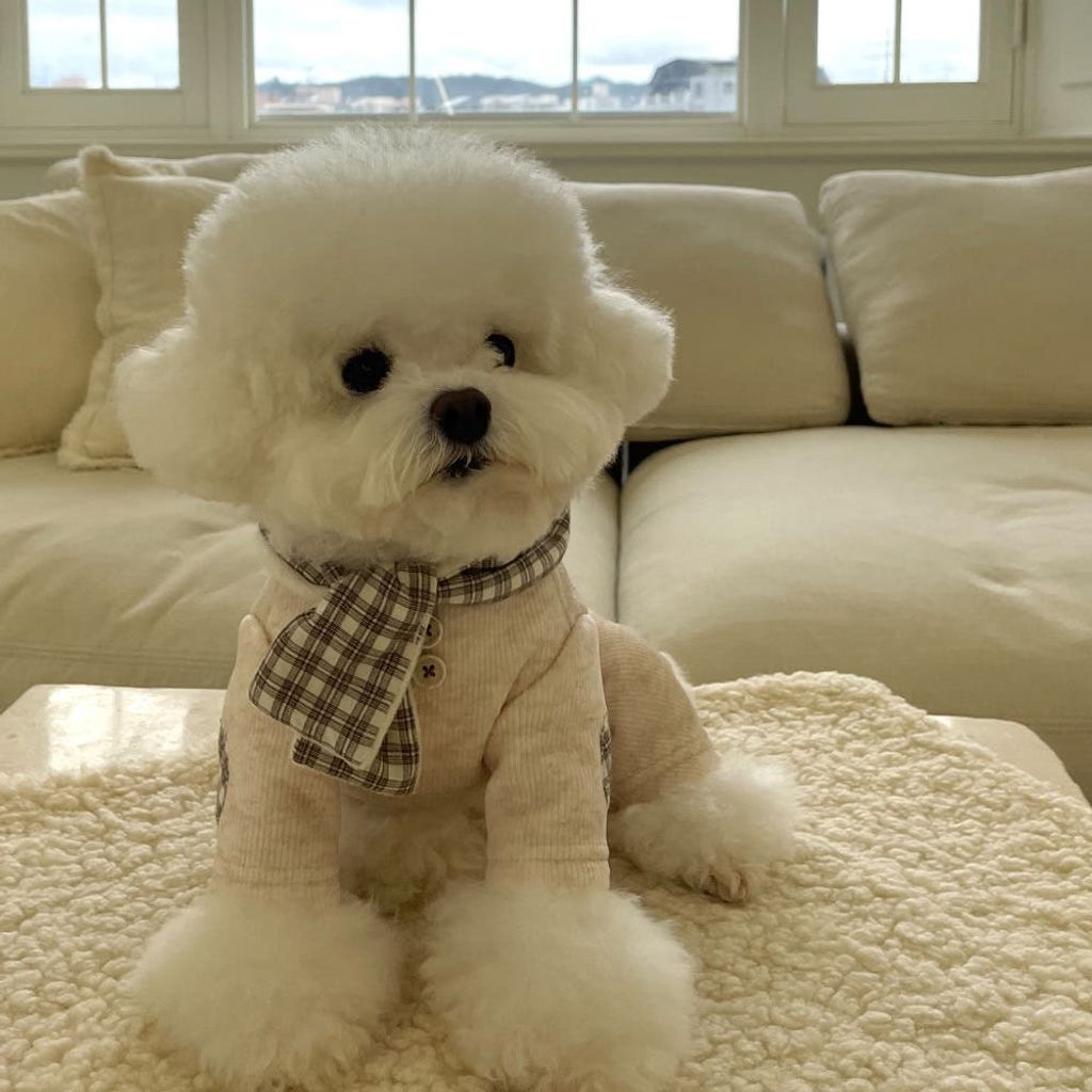 image_3242A189-7DAE-499D-BCBA-D26A8309E202_1762181324