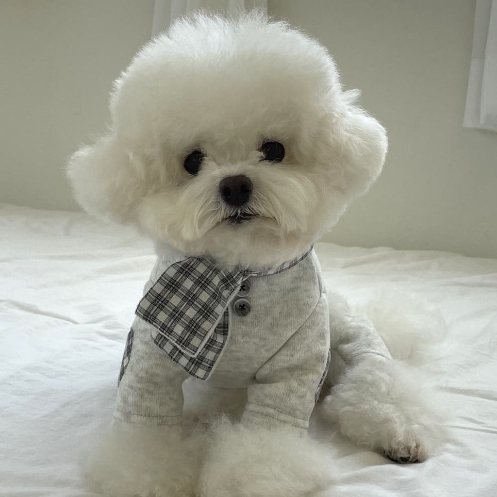 image_157BEEE8-9096-4412-908B-A023ACAC77B7_1762181324