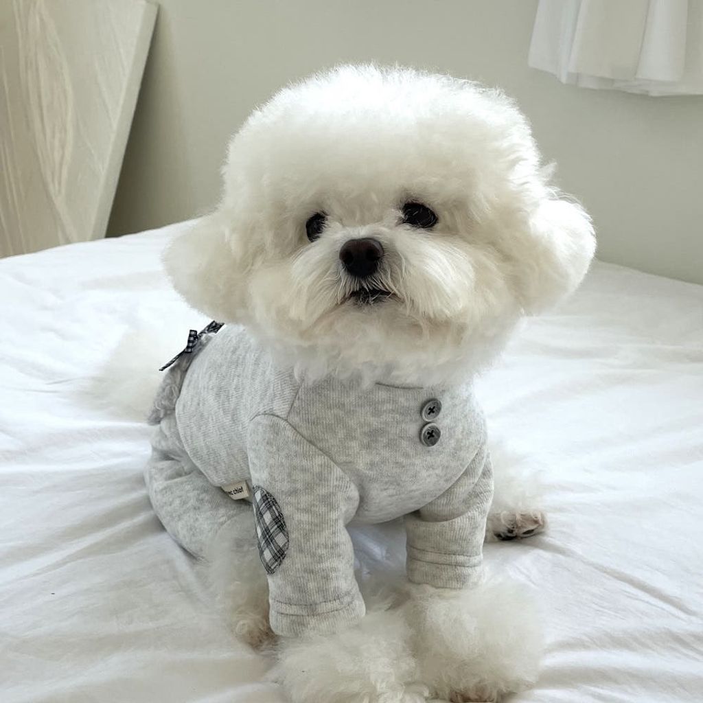 image_8D9035B5-9CBB-4764-97E3-188B7065C84F_1762181324