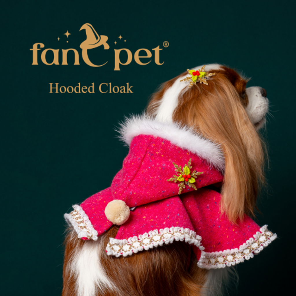 image_2FD946F5-A607-42A3-9721-3C2F1B67F87F_1762284453