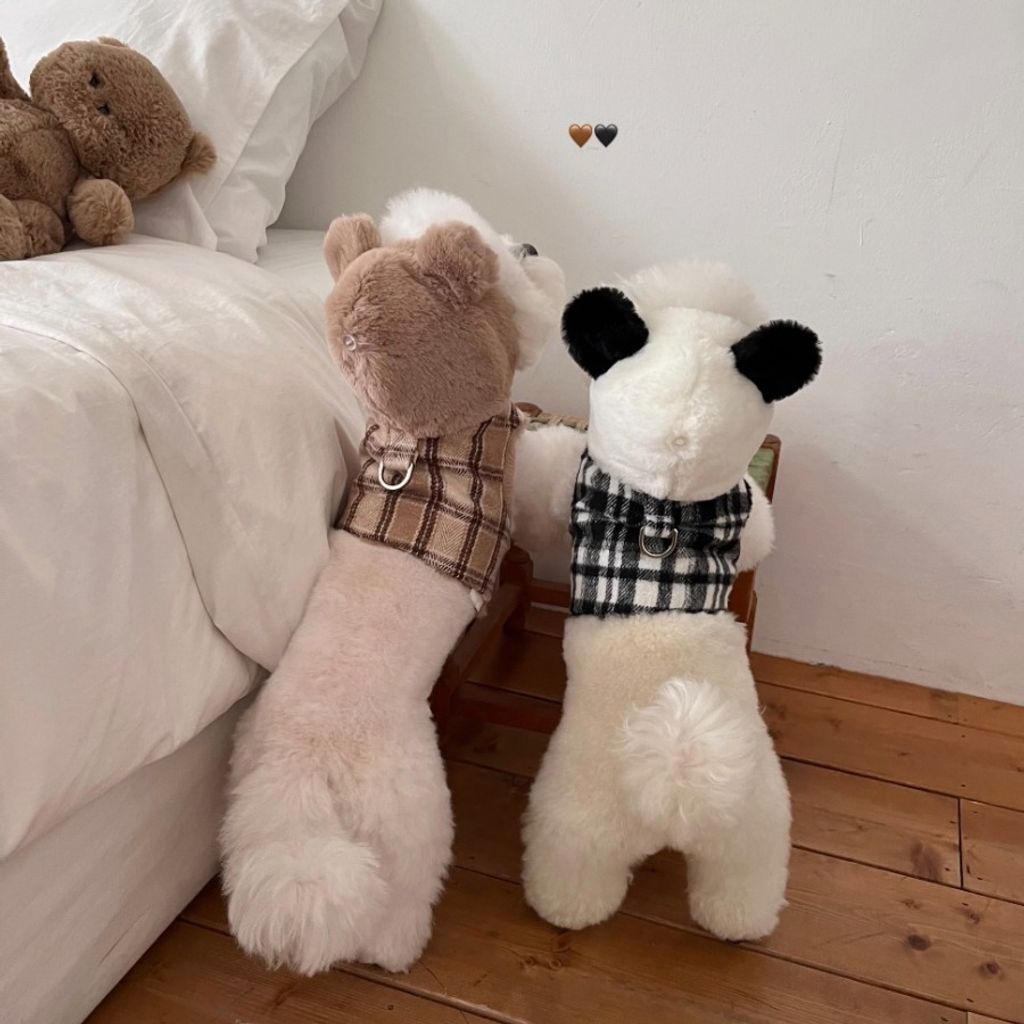 image_EFCA1A8C-91AB-4CD7-B9F2-2D14A7BD2CF2_1762320813