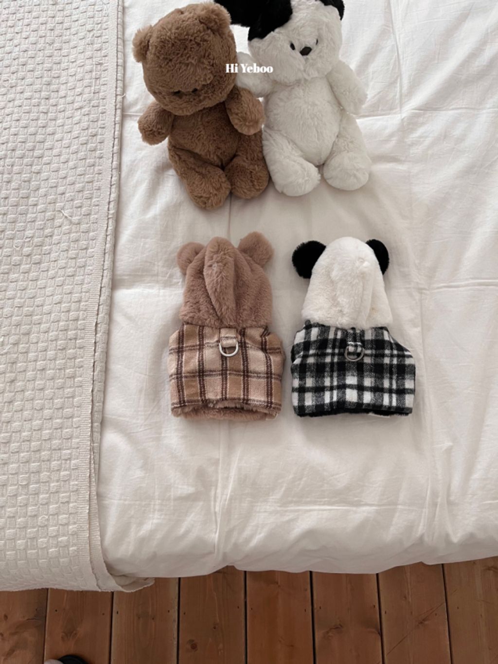 image_5C78BB21-4706-4F8A-A2BA-0F5A8FEAA22D_1762320813