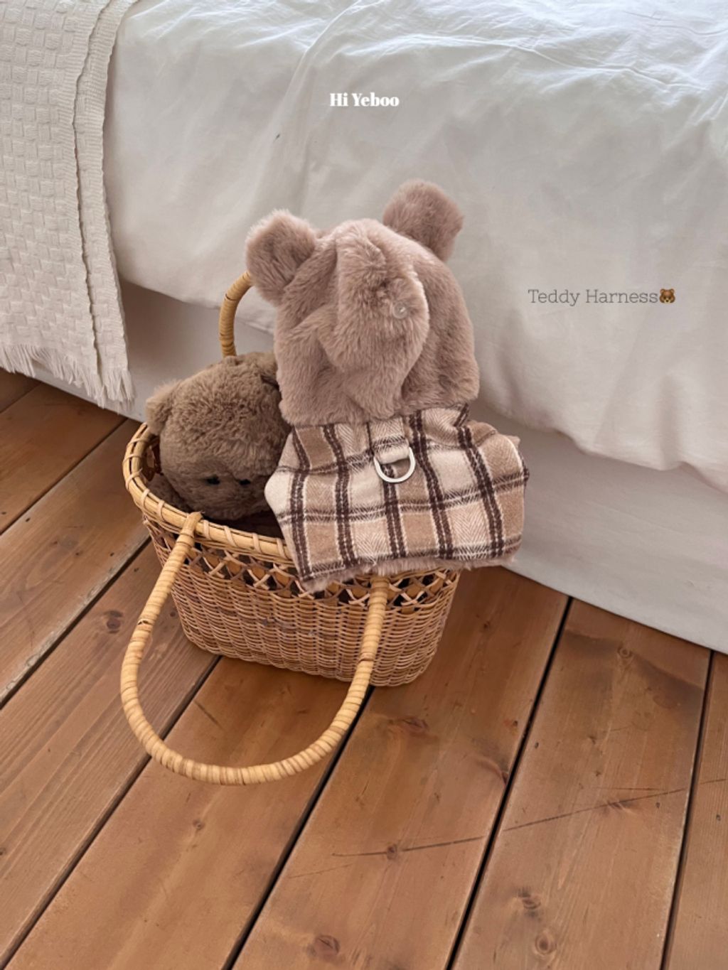 image_6E917CA6-6B9C-43FD-8E2B-6FFA172CA15B_1762320813