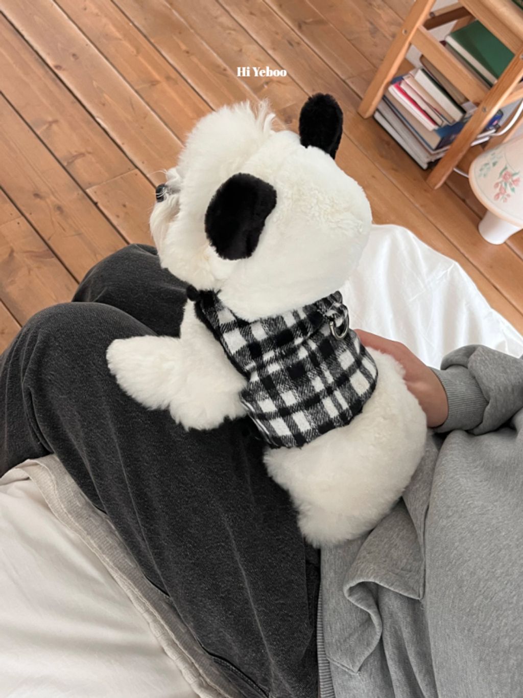 image_9D382CED-B3E5-4DB5-85E2-5EDDCB1D80CD_1762320813