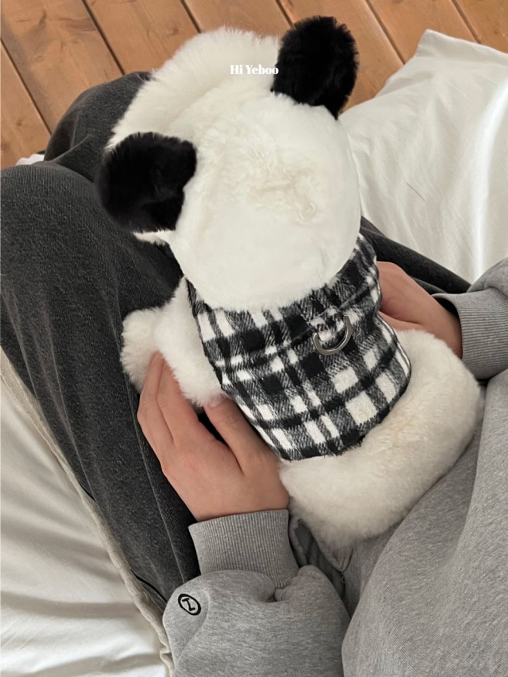 image_4F45D961-D951-43CD-89FC-FCD31E47413A_1762320813