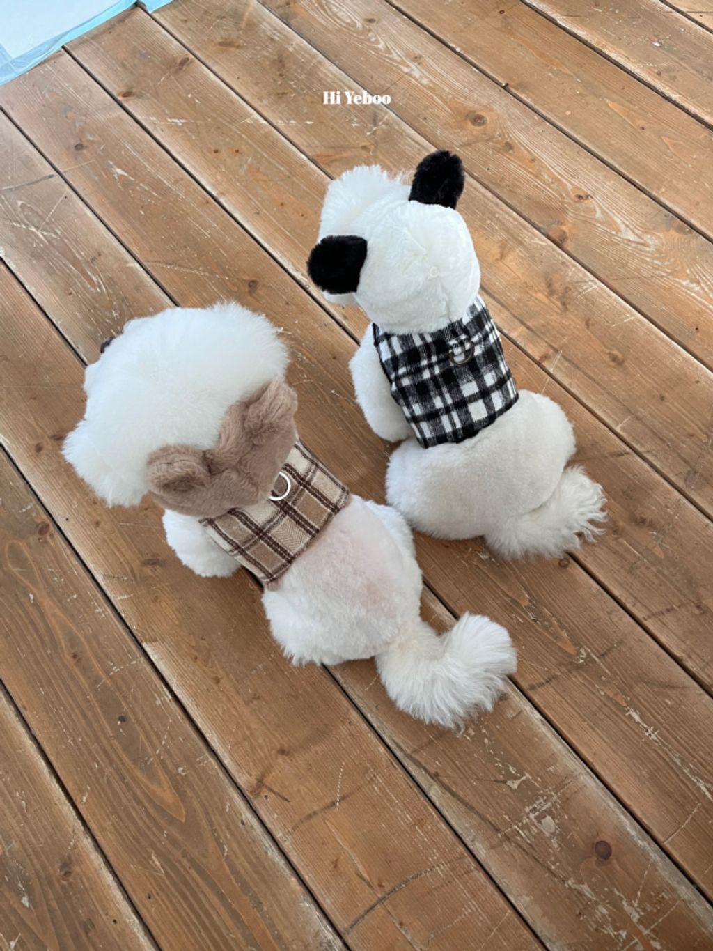 image_ACF98674-CC21-4472-8D17-01EB5C1269B8_1762320813