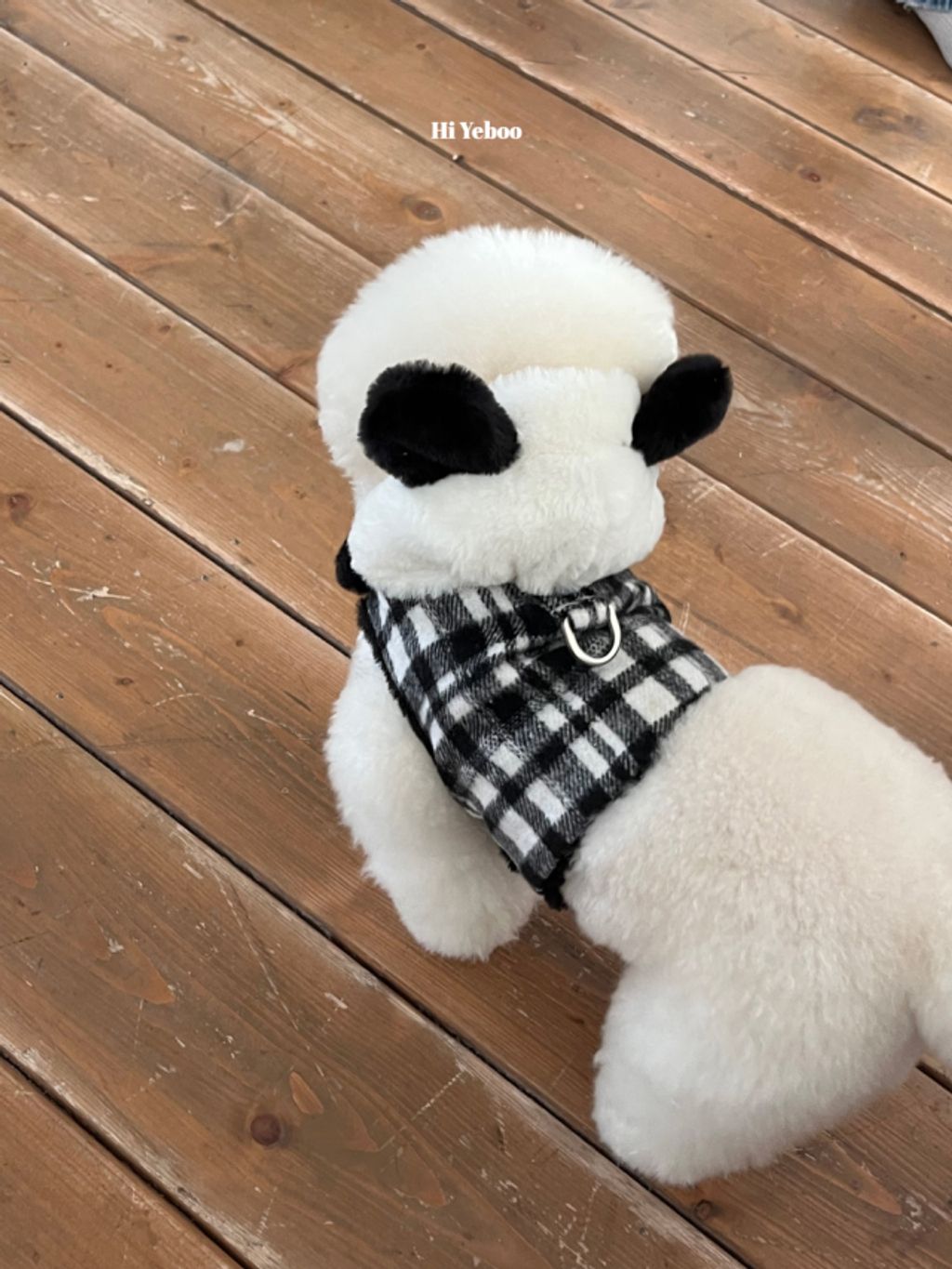 image_F91747C1-1A6B-41B5-87DF-D50FF01D854D_1762320813