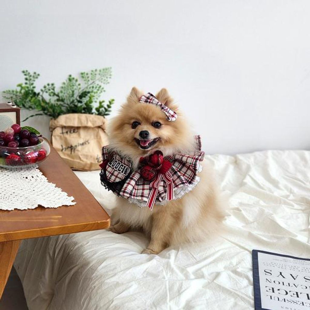 image_DCA5D620-3002-4AA7-8DF1-4E8B454FEB81_1762352129