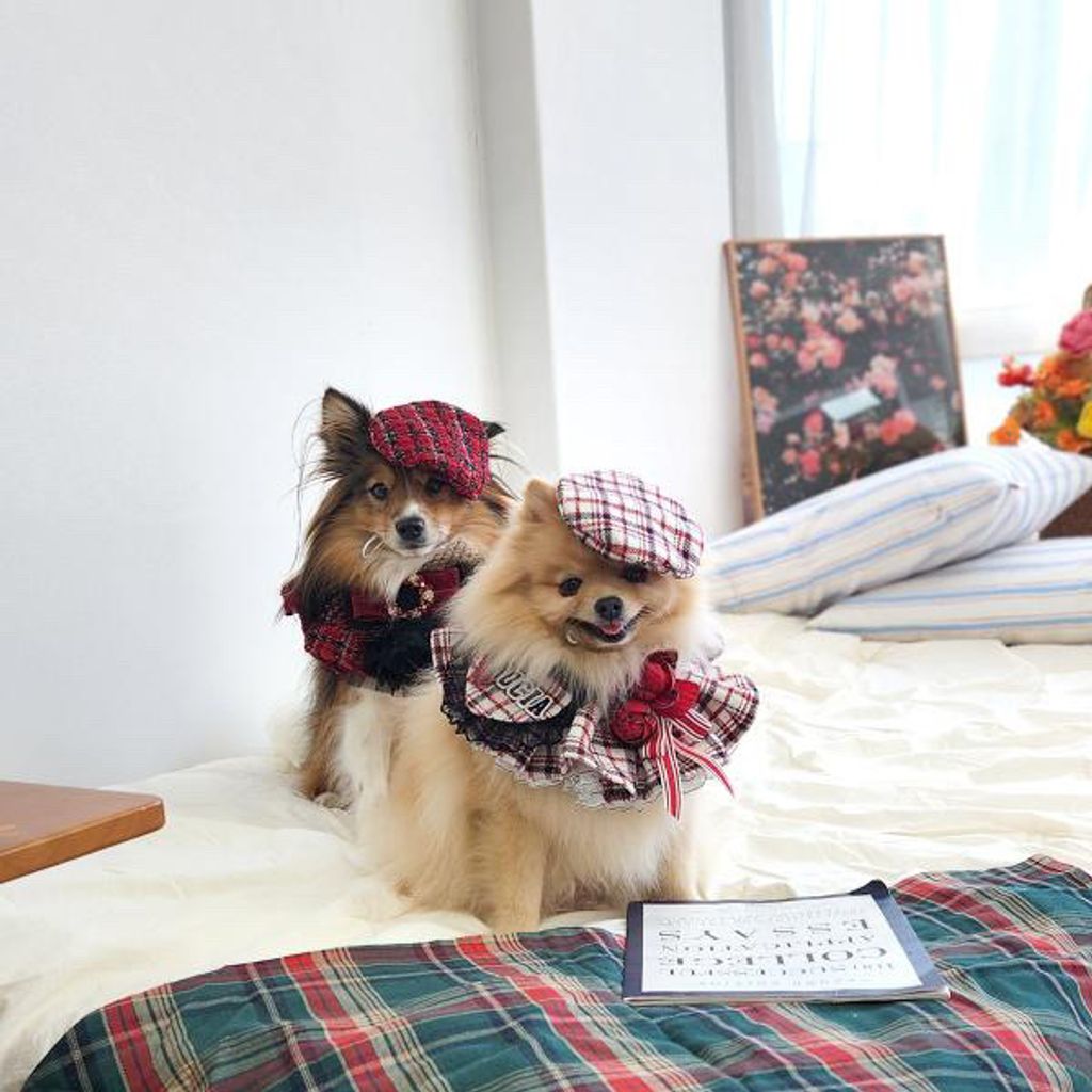 image_390555A7-E84D-49AB-9284-9225B32A5DDF_1762352129