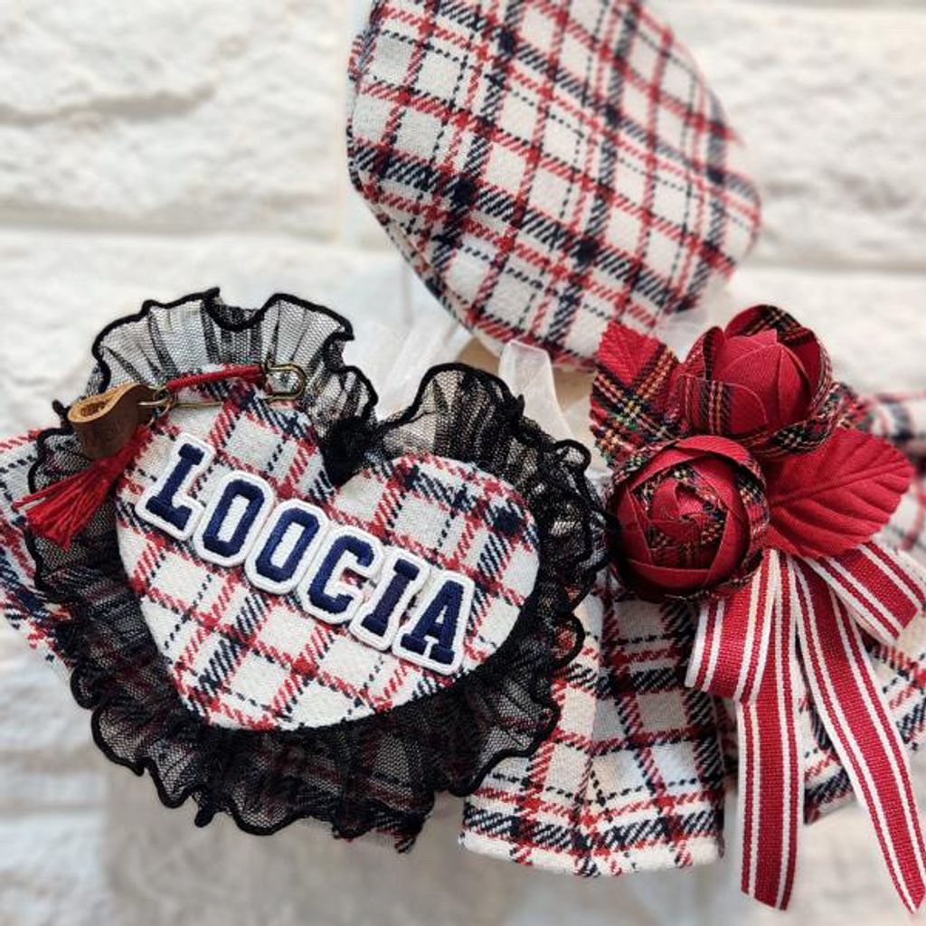 image_BE4A0423-BBF6-44C0-B706-9264C3A30341_1762352129