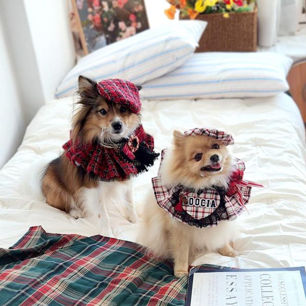 image_C414719D-5181-420C-A9E1-58C0A84D63D7_1762352129