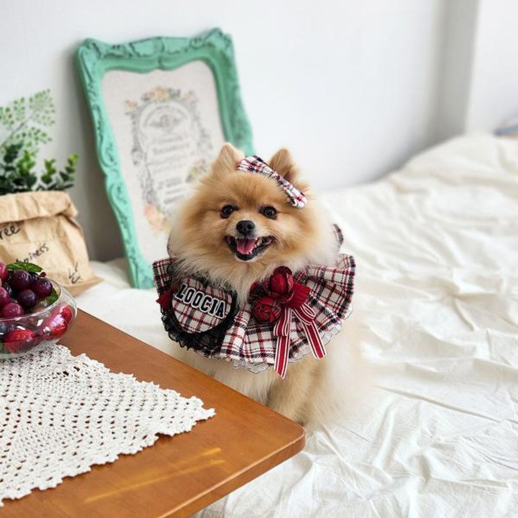 image_8DE2A9B7-EBEC-40B6-AFCA-C681F3D13A73_1762352129