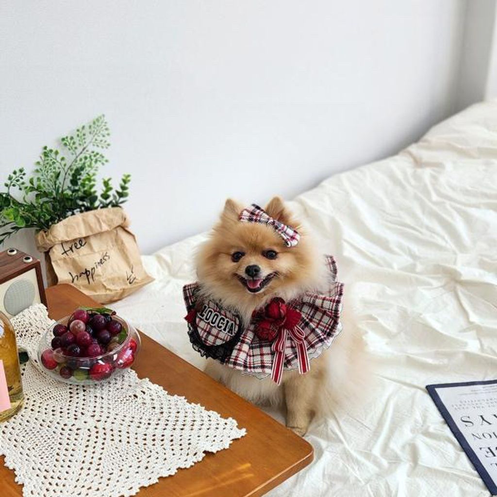 image_B6642CE9-8C56-4DD4-96FD-686D8BD82FFC_1762352129