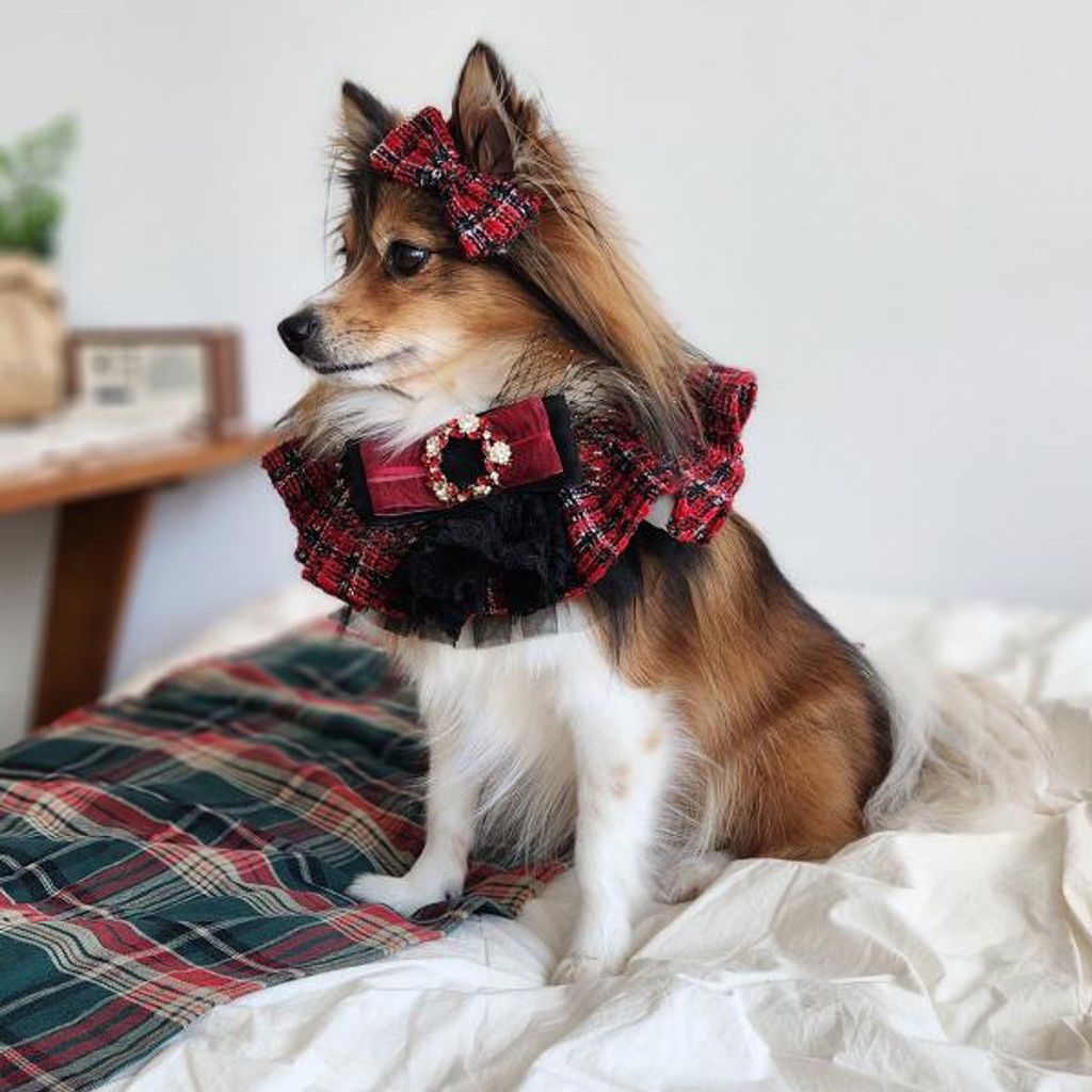 image_37E2ECAE-8B16-49D4-B226-C3547F141BAA_1762352129