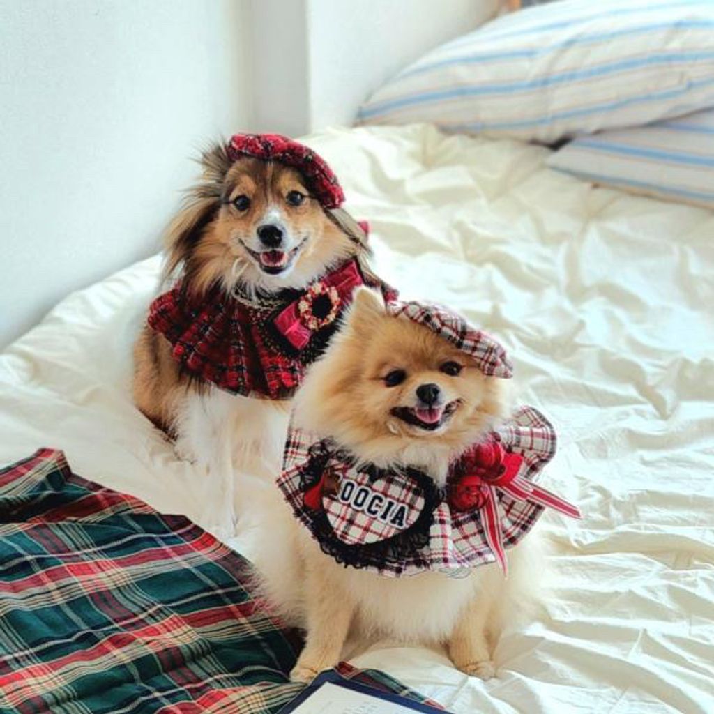 image_30796F3B-D534-4B73-ABA4-81E57832FE6C_1762352129