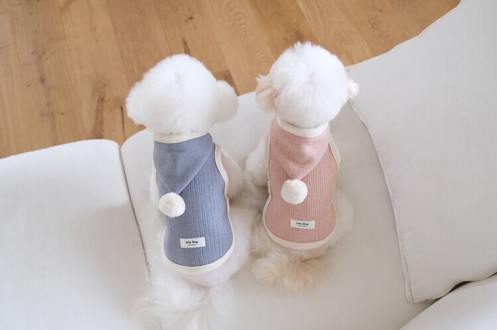 image_F62F95EF-FD1F-44A9-A903-AF99D91F6780_1762455707