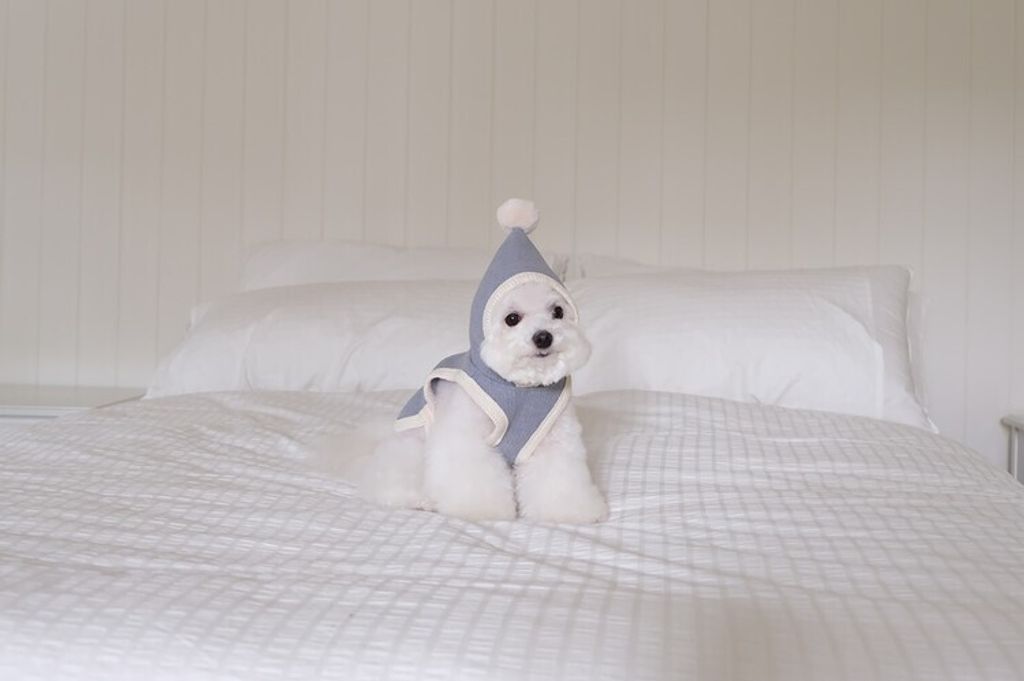 image_157B2FFC-17F8-446F-A0A9-8CA41DFC36D8_1762455707