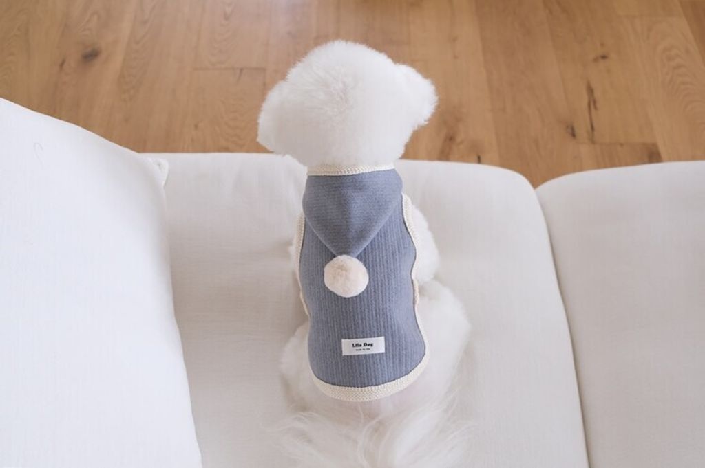 image_A2458DA4-03AB-45B4-AF28-B8C4E6D64638_1762455707