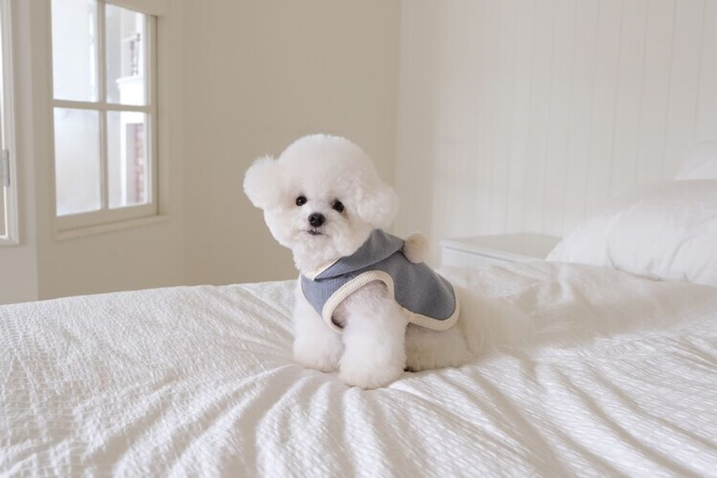 image_E13ACFA5-4B2A-4975-86F7-0D6D5BF565C6_1762455707