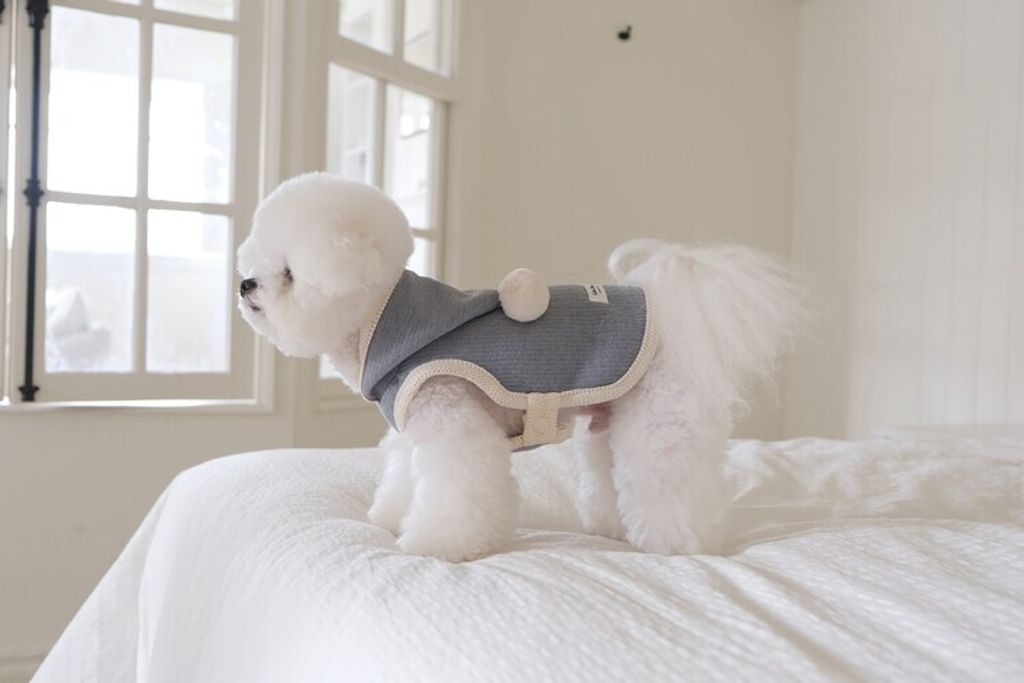 image_47B01FAA-8CF3-457C-ABC6-B52771327B22_1762455707