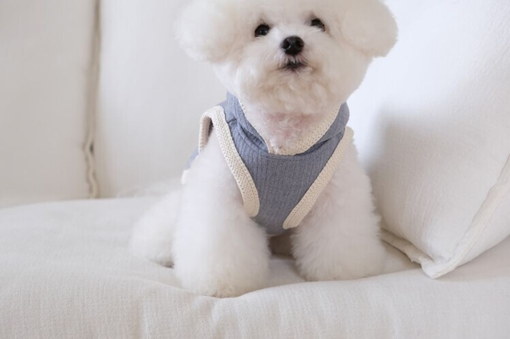 image_3579A34F-D1FF-45AB-AA05-25B775F87FD8_1762455707