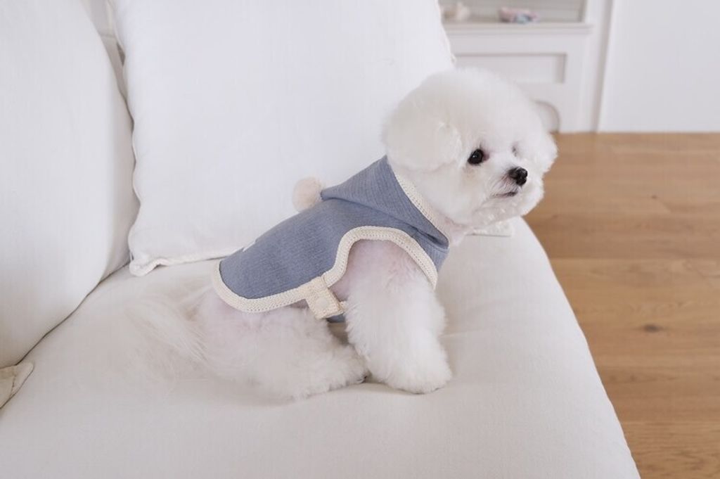 image_BCAE1381-2FD1-4C6B-BD60-1E80211ADDEE_1762455707