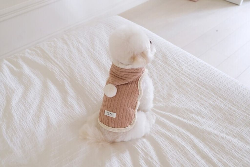 image_727FF73D-1A8C-4C86-B6AA-16E3889ADBF0_1762456298