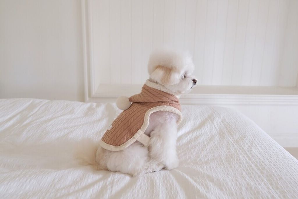 image_F8F9560A-A95F-4B2F-B3DF-AD8A0E181BE7_1762456298