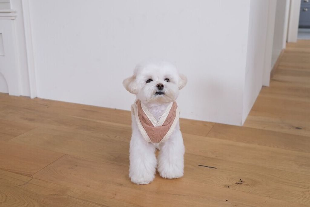 image_6D6AAF5B-F38A-4272-B533-6EEB6E4A03D8_1762456298