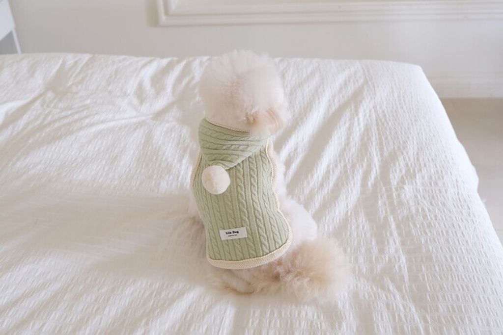 image_85DAAC67-2CC3-43AF-8FD6-4979EBA07EA5_1762456298