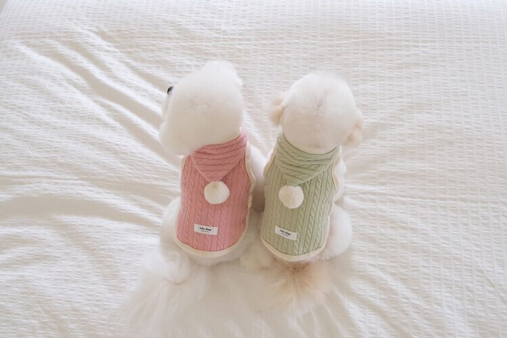 image_FC57136B-2F0D-4C3C-8B6A-DA0B7D3C1C86_1762456298