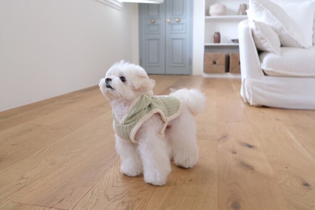 image_AC47C86A-10CF-44D4-B173-83BF66F29B92_1762456298