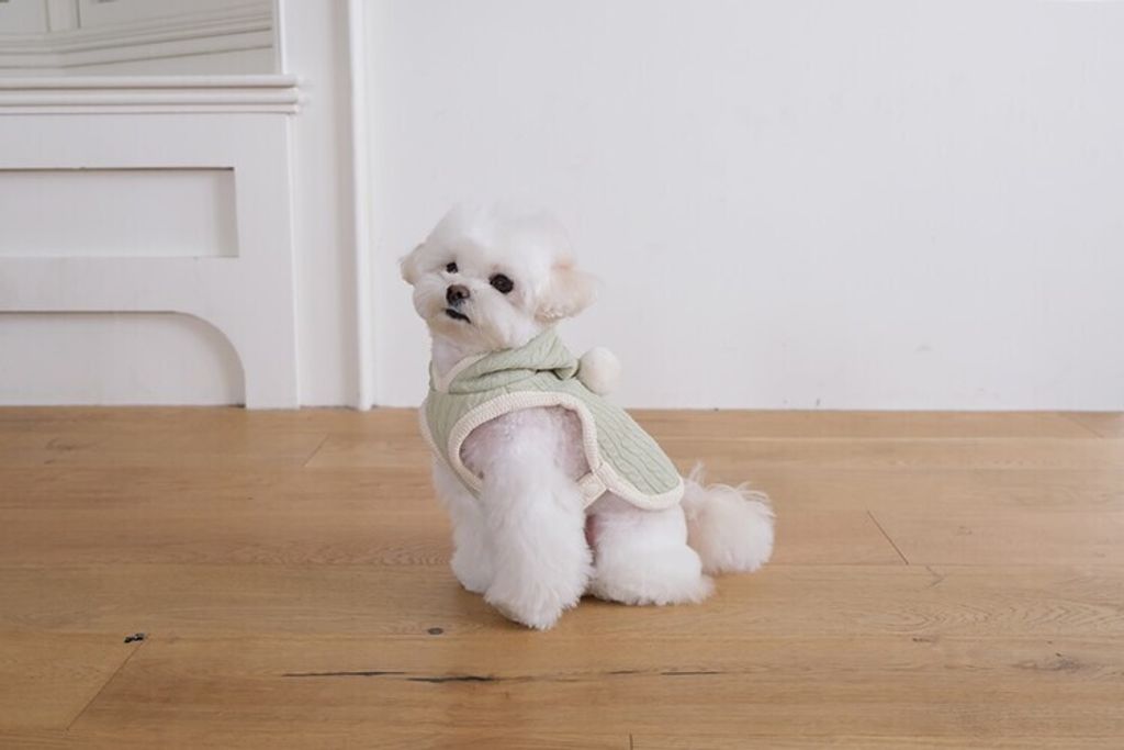 image_00F9F307-9C8D-4E41-95AD-A060976254B0_1762456298