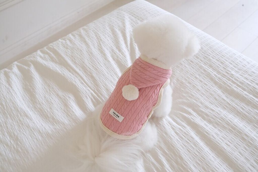 image_931573D0-F505-45AC-A441-BDBBB1785B5C_1762456298